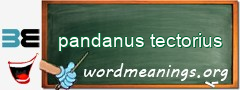 WordMeaning blackboard for pandanus tectorius